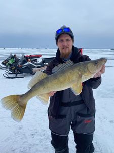 Large Walleye in Lake Superior